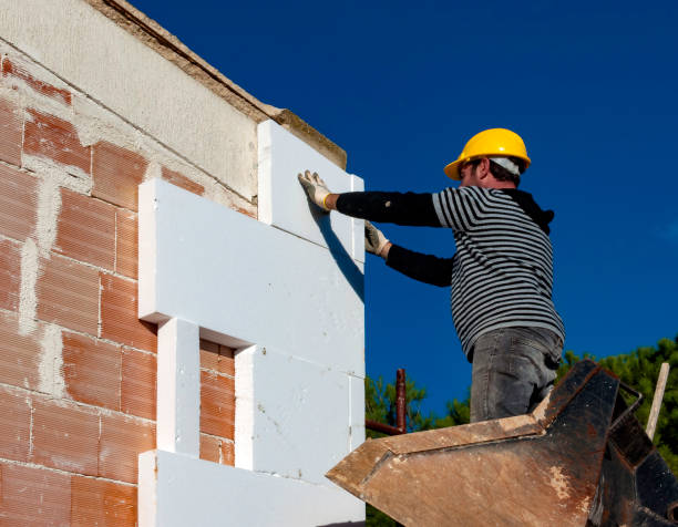 Best Wall Insulation Contractor  in Aiken, SC