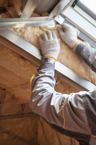 Best Professional Insulation Contractor  in Aiken, SC