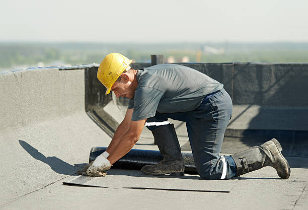 Best Best Insulation Companies  in Aiken, SC