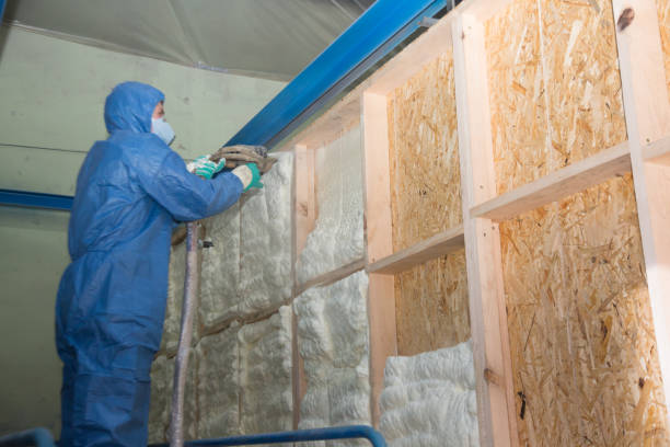 Best Fiberglass Insulation  in Aiken, SC