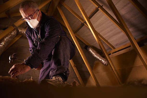 Best Garage Insulation Installation  in Aiken, SC